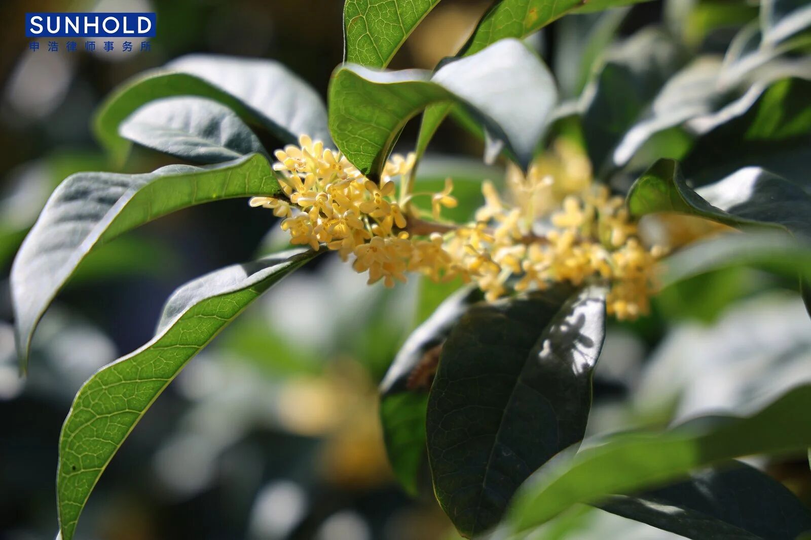 1759989318541602.jpg c83a70d1a01f7a59c20f2582cd8187f4.jpg